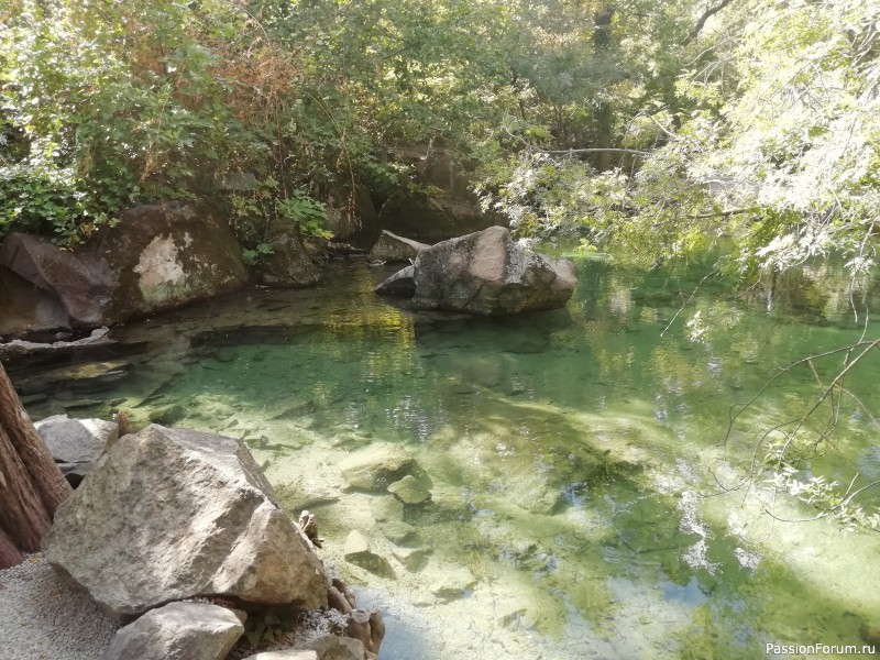 Крымские каникулы, продолжение