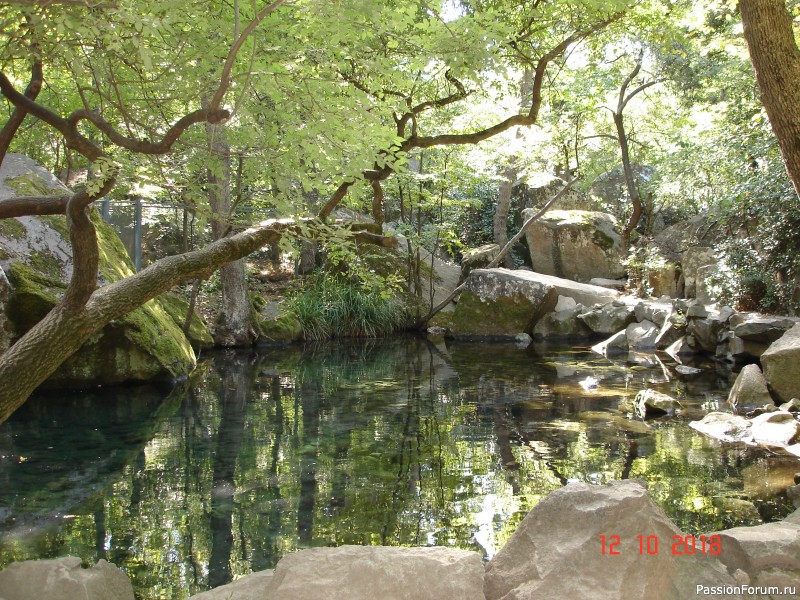 Крымские каникулы, продолжение