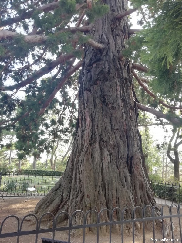 Сентябрь в Крыму