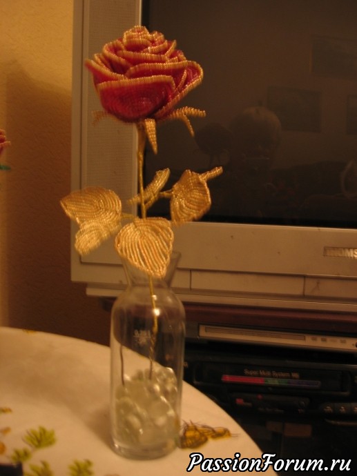 Мои любимые розы