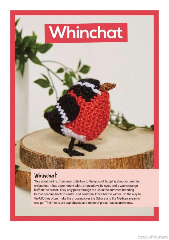 Книга "10 More British Birds to Crochet"