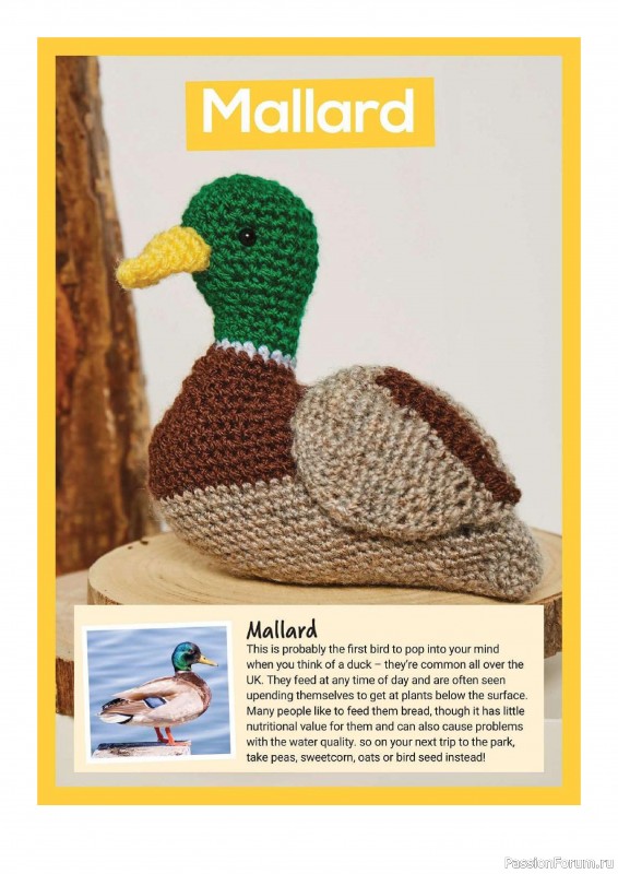 Книга "10 More British Birds to Crochet"