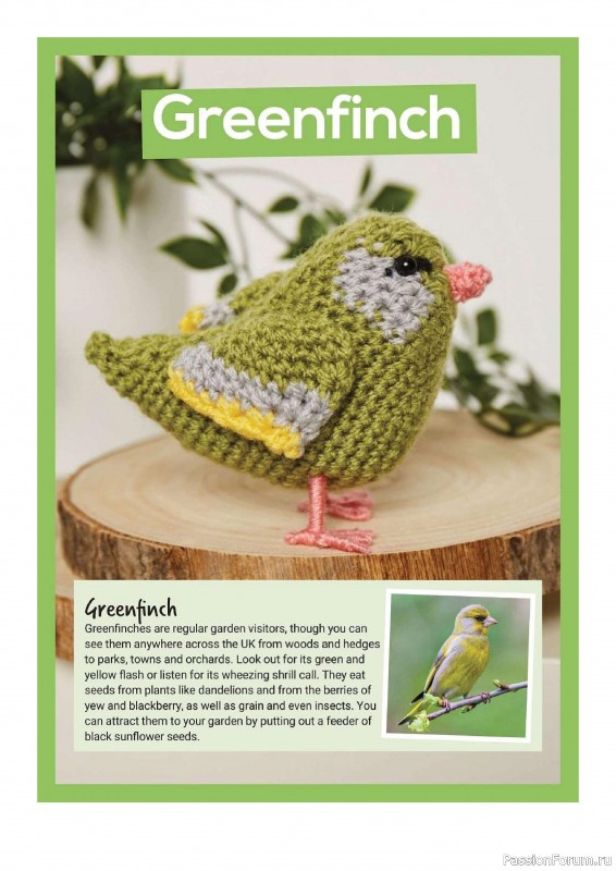 Книга "10 More British Birds to Crochet"