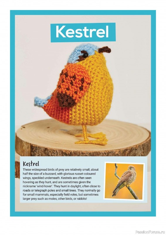 Книга "10 More British Birds to Crochet"
