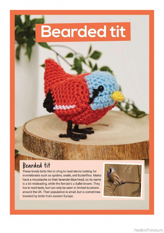 Книга "10 More British Birds to Crochet"