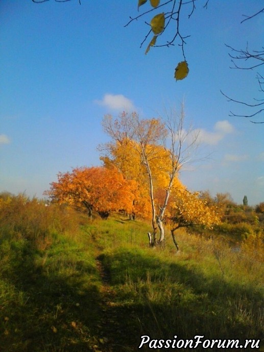 Осень