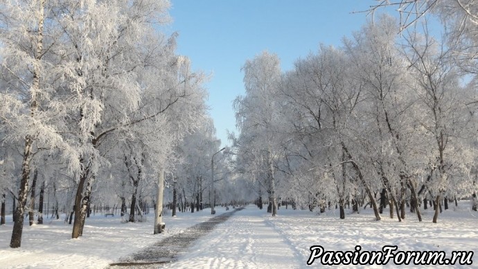 Зимнее утро в Сибири