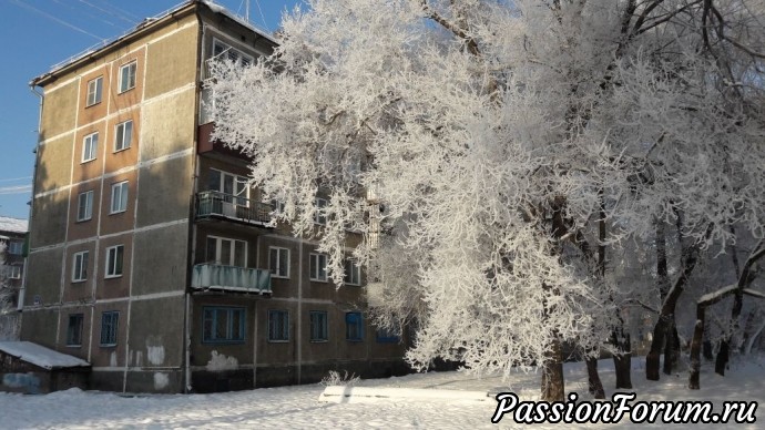 Зимнее утро в Сибири