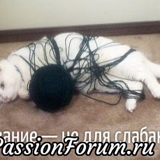 МЫ ЕЩЕ КАКИЕ ВЯЗАЛЬЩИЦЫ!