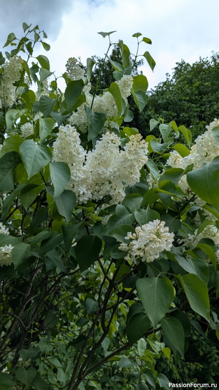 Первый день лета!