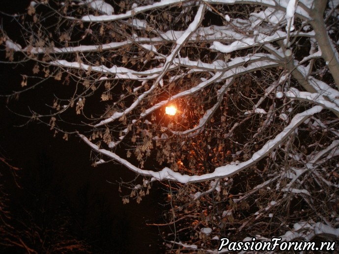 Ночные зимние снимки