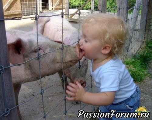 Любовь животных к детям