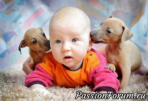 Любовь животных к детям