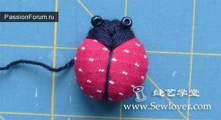 БОЖЬЯ КОРОВКА