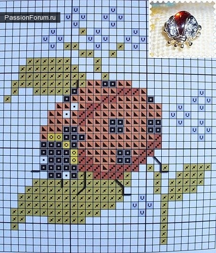 БОЖЬИ КОРОВКИ