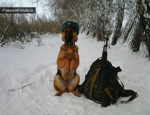 Начинаем готовиться к мужскому празднику!