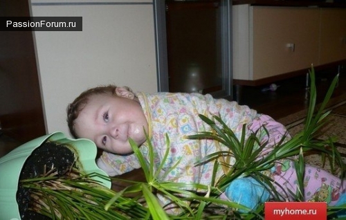 Улыбнитесь