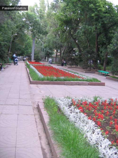 Родимая сторона. часть третья