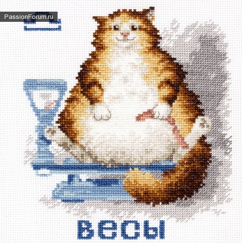 кот весы