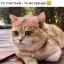 Татьяна