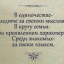 Зара