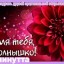 Vera (Вера)
