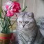 Анатолий