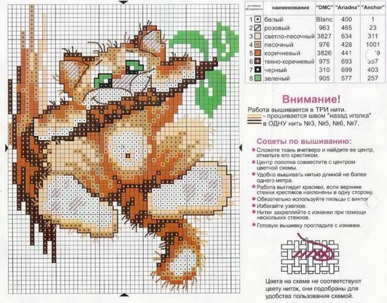 КОШКИ. ЧАСТЬ 1