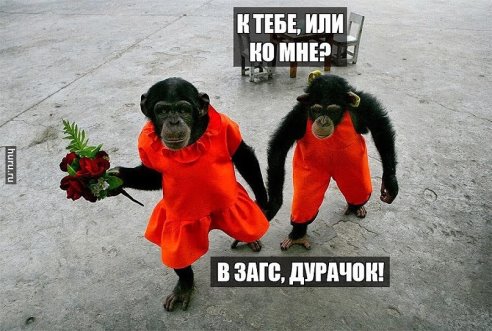 с Праздником 8 Марта!!!