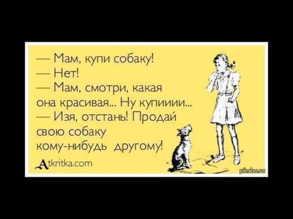 Таки опять еврейский юмор.