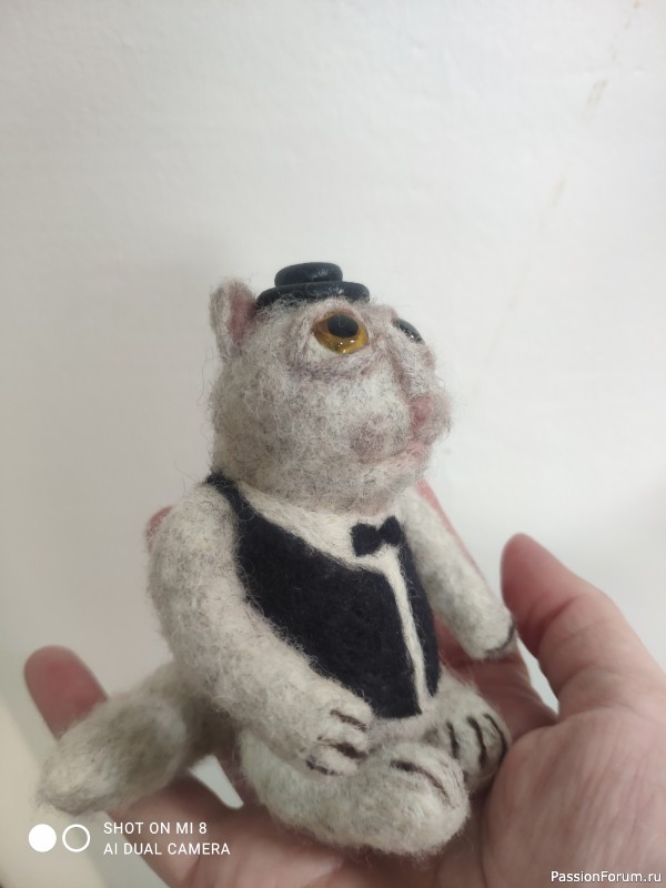 Кошачье послеконкурсье.