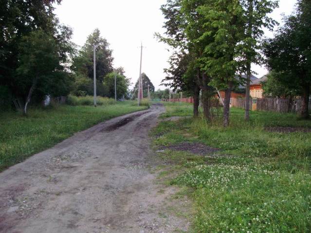 Деревня моя...
