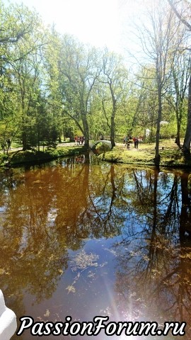 Открыт летний сезон. No.1