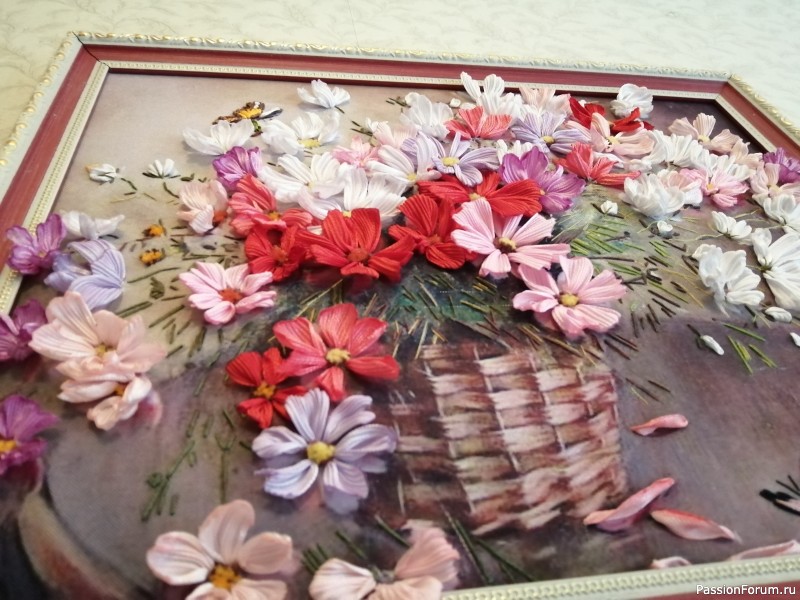 Космеи