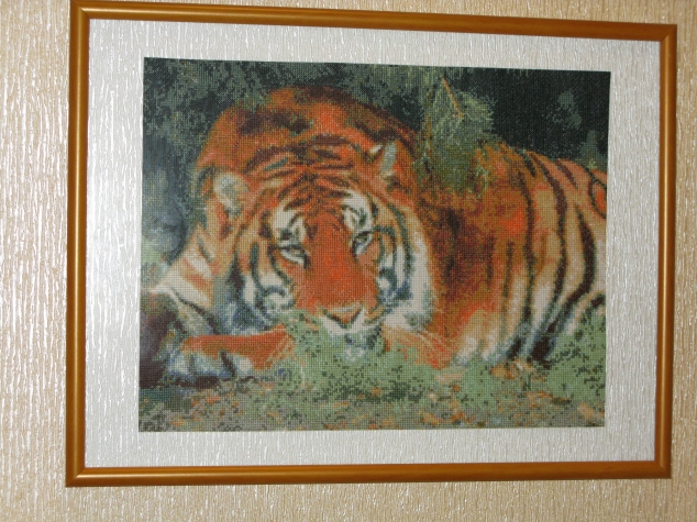 Хочу представиться