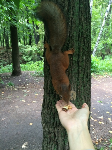 А мы гуляли по Москве!