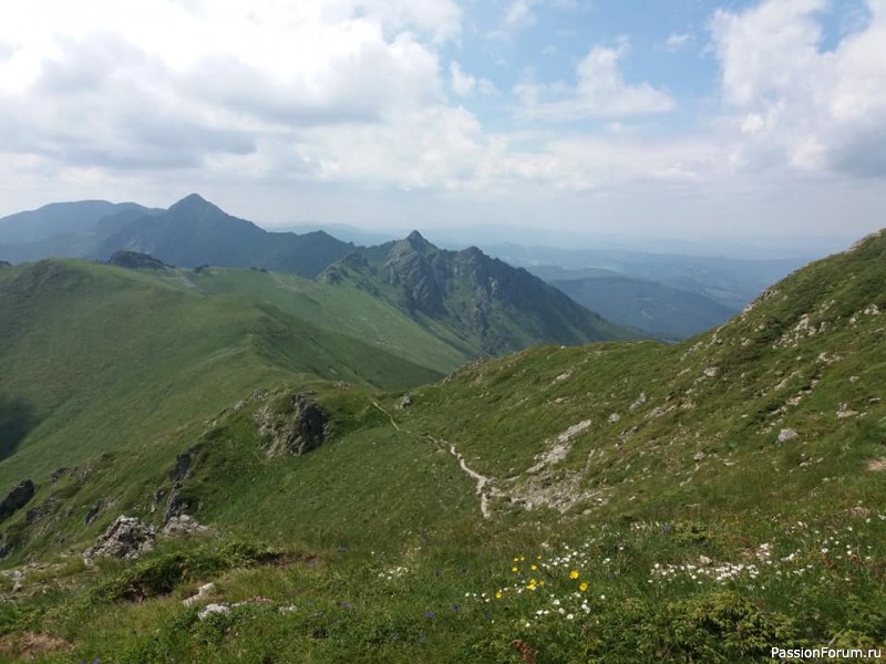 Лето! Добро пожаловать в горы Болгарии!