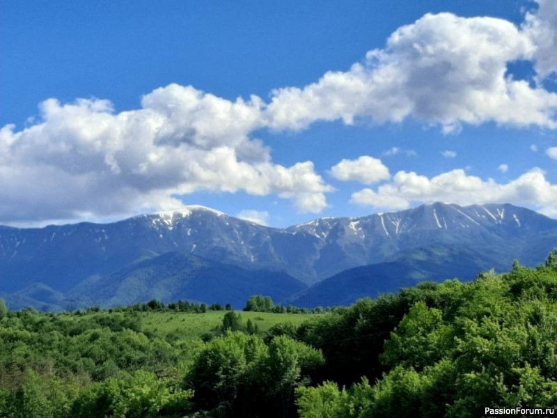 Лето! Добро пожаловать в горы Болгарии!