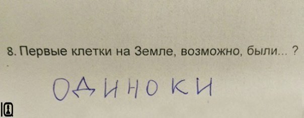 Когда учишься в младших классах, но уже познал жизнь.