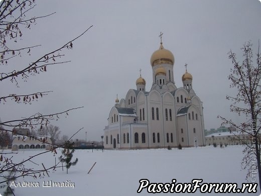 СОЧЕЛЬНИК (мои стихи)