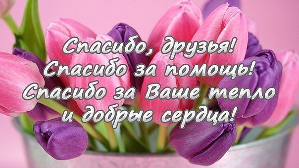 Спасибо всем кто помогает картинки