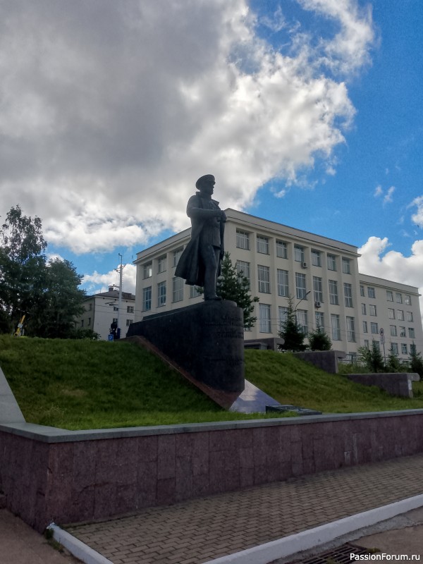 Хомяки путешественники. Поездка в Архангельск малым составом.