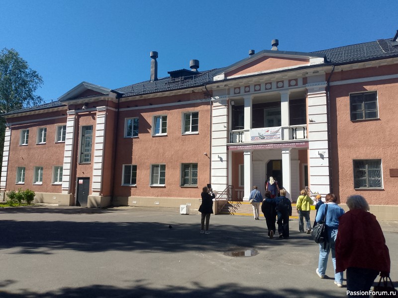 Хомяки путешественники. Поездка в Архангельск малым составом.
