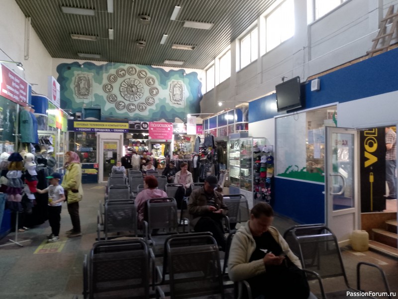 Хомяки путешественники. Поездка в Архангельск малым составом.