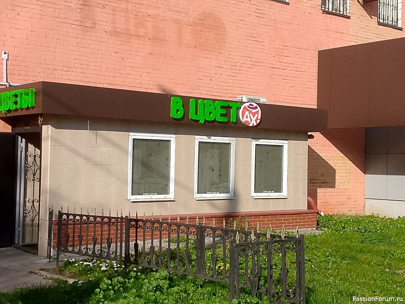 Подольск - город нереализованных возможностей и кладезь креатива))