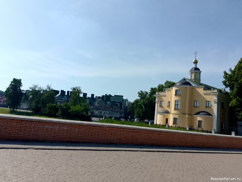Как хомяки ходили за грибами, которые с глазами