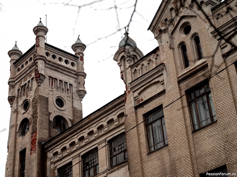 Город Святого Георгия-Егорьевск. Путешествия хомяков.