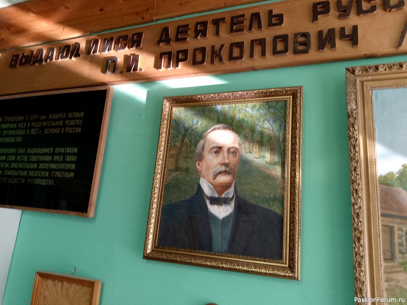 Как хомяки ходили за грибами, которые с глазами
