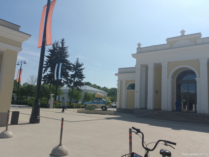 Как хомяки ходили за грибами, которые с глазами