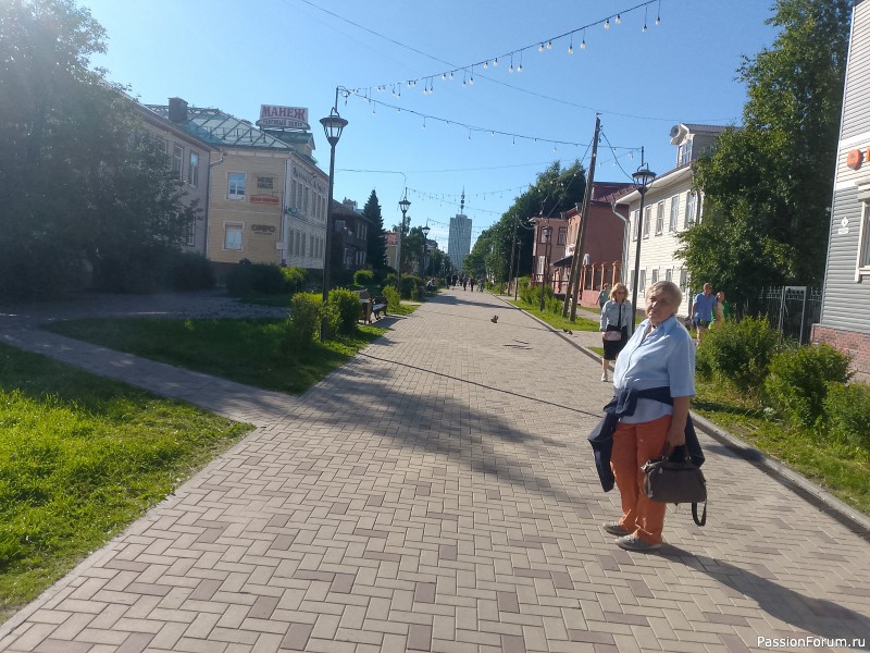 Хомяки путешественники. Поездка в Архангельск малым составом.